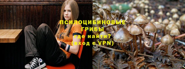 ПСИЛОЦИБИНОВЫЕ ГРИБЫ Абинск